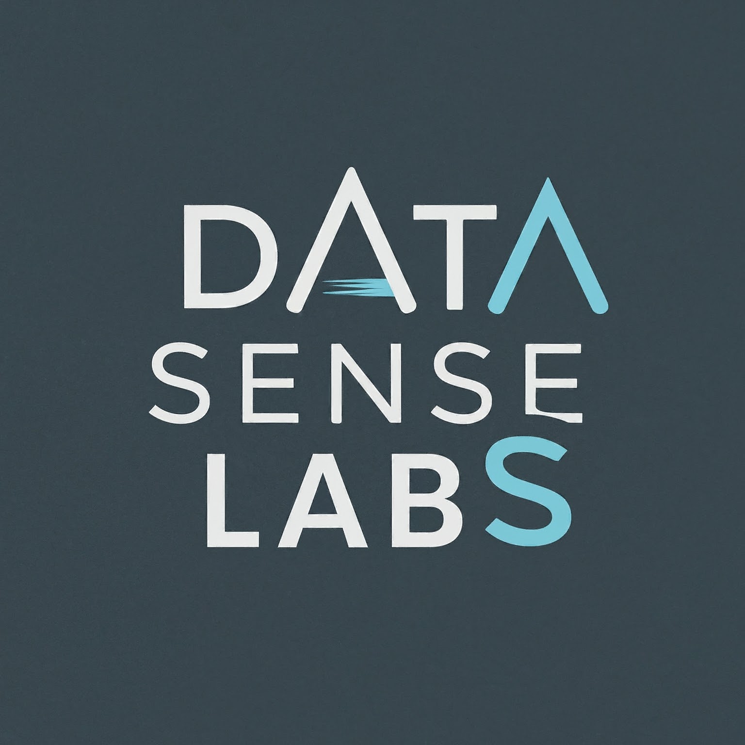 DataSenseLabs